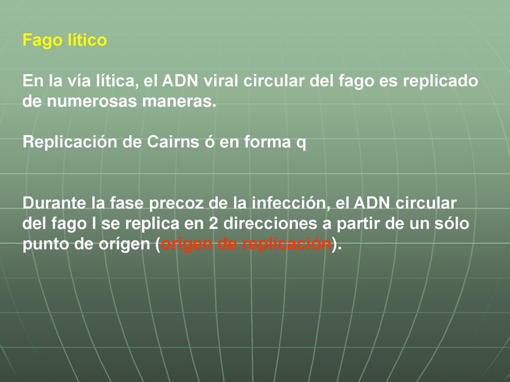 mecanismo de infección de fagos de diabetes